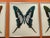 Mihele Astolfi, Blue Butterfly, 2000s, Mixed Media, Framed For Sale - Image 4 of 6