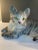 Mid-Century Modern Large Mid 20th Century Ronzan Ceramic Gray Tabby Cat For Sale - Image 3 of 13