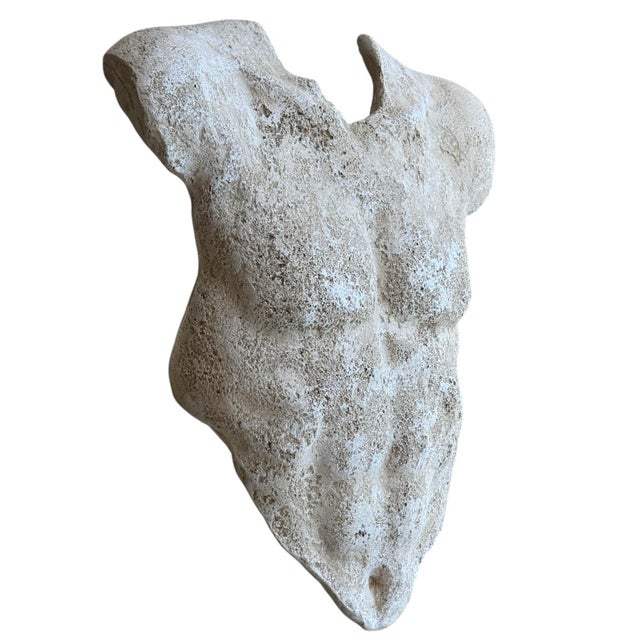 Vintage sculpture in plaster depicting a male torso in the Grand Tour style after the ancient Roman or Greek. Unsigned and...