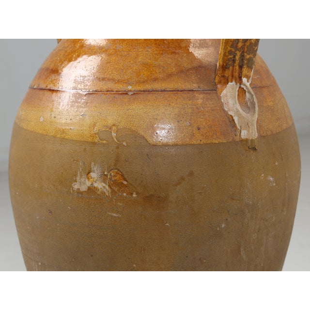 Yellow Antique Italian Olive Oil Jar, or an Amphora in Exceptional Original Condition For Sale - Image 8 of 12