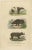 An original antique hand-colored engraving featuring three different species of animals, each labeled in both Latin and...