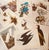 1950s Audubon Birds of America — Complete Portfolio of 50 Color Prints With Roger Tory Peterson Commentaries, Macmillan For Sale - Image 4 of 14