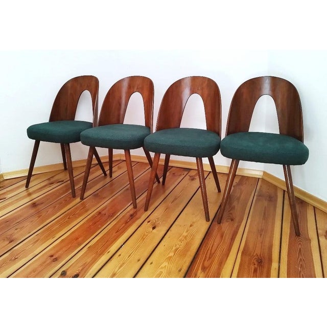 Dining Chairs by A. Suman for Tatra Nabytok, Former Czechoslovakia, 1960s, Set of 4 For Sale - Image 10 of 18
