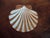 18th Century Chinese Export Famille Rose Porcelain Scallop Shell Shape Bowl For Sale - Image 4 of 11