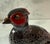 Mid 20th Century Mid Century Modern Ceramic Pheasant Figurine For Sale - Image 5 of 10