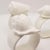 Coastal Coastal Bone China Shell Motif Napkin Rings - Set of 4 For Sale - Image 3 of 5