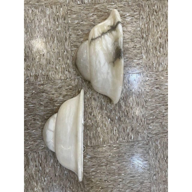 1950 Alabaster Shell Shape Sconces - a Pair For Sale - Image 4 of 8