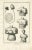 Diderot, Medical Print Pl. XXVIII, 1760, Print For Sale - Image 5 of 5