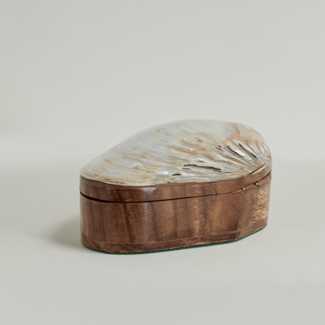 Wood Vintage Seashell Box For Sale - Image 7 of 11