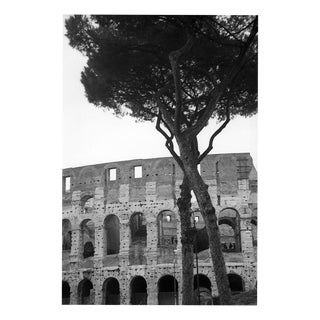 Paul Cooklin, Rome Italy 00224, Edition of 50 For Sale