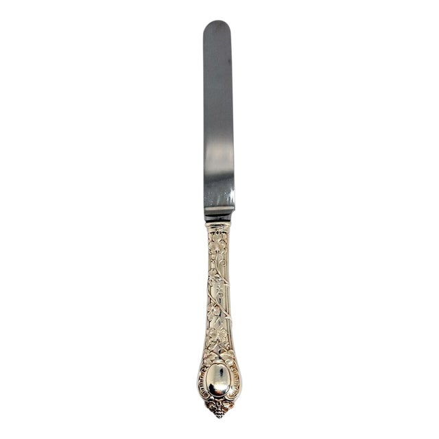 French Odiot Demidoff .950 Sterling Silver and Stainless Steel Dinner Knife For Sale