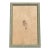 Early 20th C. Botanical Pressing For Sale