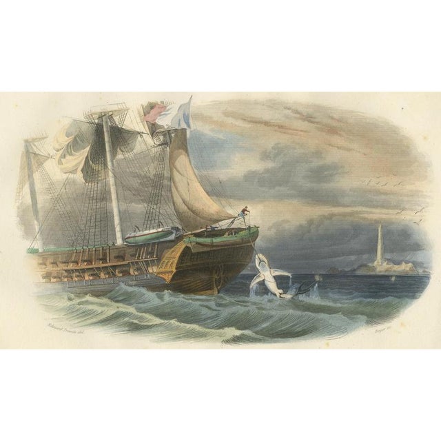 After Édouard Traviès, Shark Fishing, 1840, Hand-Colored Engraving For Sale - Image 4 of 10