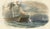 After Édouard Traviès, Shark Fishing, 1840, Hand-Colored Engraving For Sale - Image 4 of 10