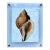 Golden Conch Shell - Hand-Executed Textured Wall Art | Michele Stone Collection For Sale