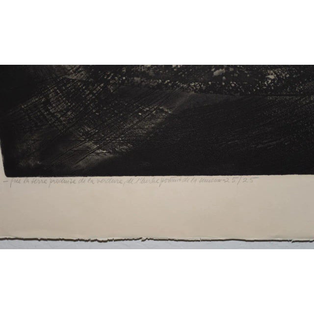 Abstract Terry Haas (Czechoslovakia, B.1923) "Of the Earth" Etching W/ Aquatint C.1960 For Sale - Image 3 of 8