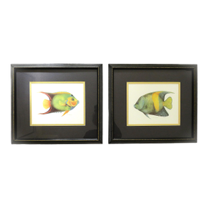 Pair of Fish Framed Lithographs Prints by Jean Cassidy