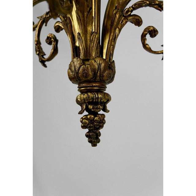 Louis XVI Neoclassical Style Hanging Light in Gilded Bronze, 1890s For Sale - Image 12 of 16