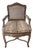 Mid 20th Century Louis XV Style Leopard Upholstered Arm Chair For Sale