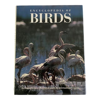 1991 Encyclopedia of Birds Coffee Table Book For Sale