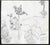 Traditional Ivy Attwell Channel Islands Botanical Watercolor For Sale - Image 3 of 3