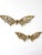 Mid-Century Brass Butterfly Wall Hangings Pair For Sale - Image 11 of 12