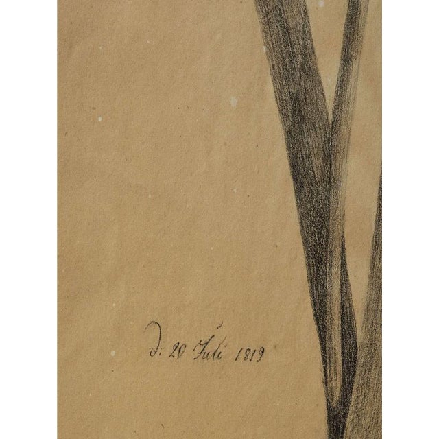 Cream Margaret Trone, Swedish Empire Flower, Paper, Framed, Set of 2 For Sale - Image 8 of 14