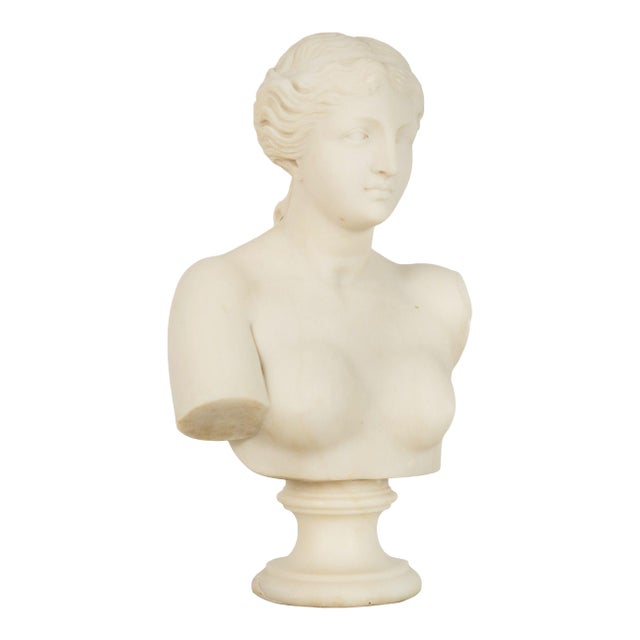 Italian Grand Tour Carved Alabaster Bust of Venus of Milo, 20th Century For Sale