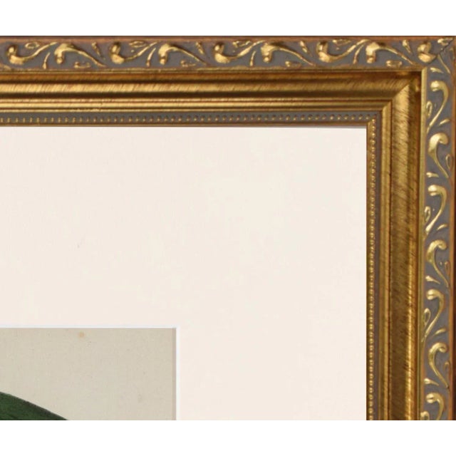 Mid 19th Century 19th Century English Hand Colored Bird Engraving by Goldsmith For Sale - Image 5 of 5