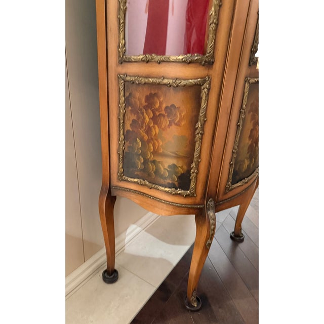 Late 19th Century French Louis XV Ornamental Display Case For Sale - Image 4 of 9