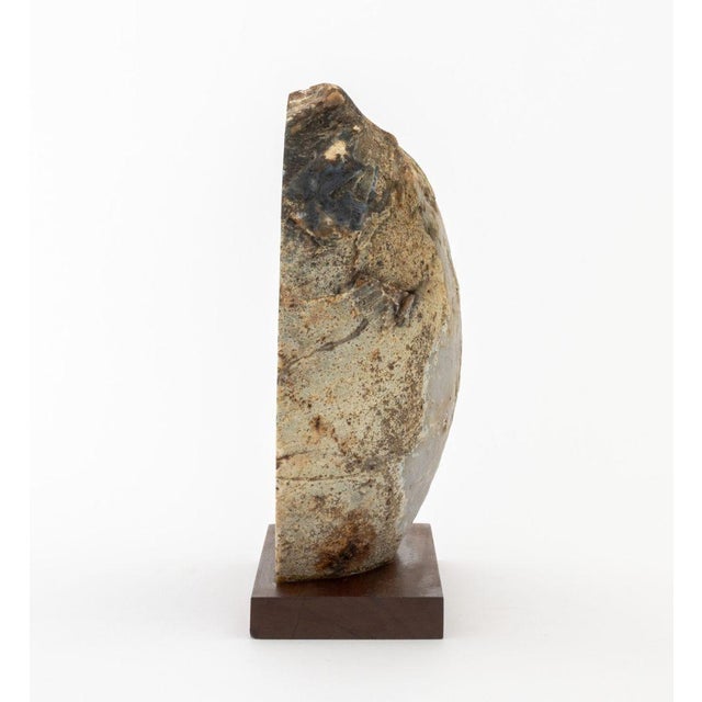 Wood Polished Banded Agate Mineral Specimen For Sale - Image 7 of 10