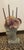 Plastic Shell-Encrusted Bust in Farrow & Ball “Blue Gray” With Candle Holders For Sale - Image 7 of 12