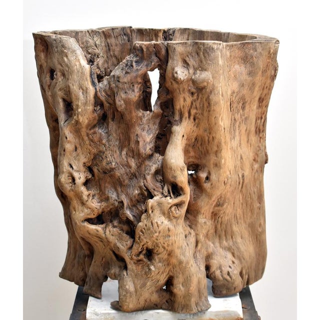 Unusual vessel from Japan- artisan-carved wooden burl that can be used as a vase (place water tight vessel inside) or...