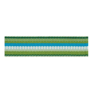 Sample - Schumacher Primavera Tape Narrow in Meadow For Sale