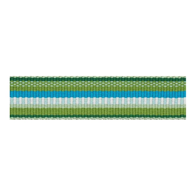 Sample - Schumacher Primavera Tape Narrow in Meadow For Sale