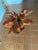 American 1970s Natural Tree Stump Dining Table For Sale - Image 3 of 11