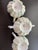 Victorian Antique Rs Prussia Porcelain Creamer and Lidded Sugar Bowl Set - Set of 3 For Sale - Image 3 of 8