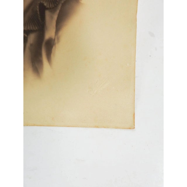 Art Deco Vintage 1930s Glamour Studio Portrait Photograph of Woman For Sale - Image 3 of 4