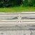 Vintage Coastal Cerused Pencil Reed Coffee Table For Sale - Image 11 of 14