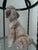 Vintage Shafford Kennel Club Poodle For Sale - Image 4 of 5