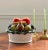 Mid-Century Ceramic Fruit Topiary Basket, Made in Portugal For Sale - Image 12 of 12
