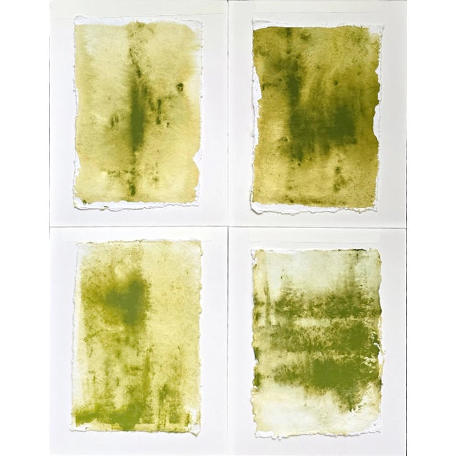 Verdant Memory - Quadriptych- Painting Series - Original Art by Carrie Bergey _ Olive Green, Ochre, White-Set of 4 For Sale