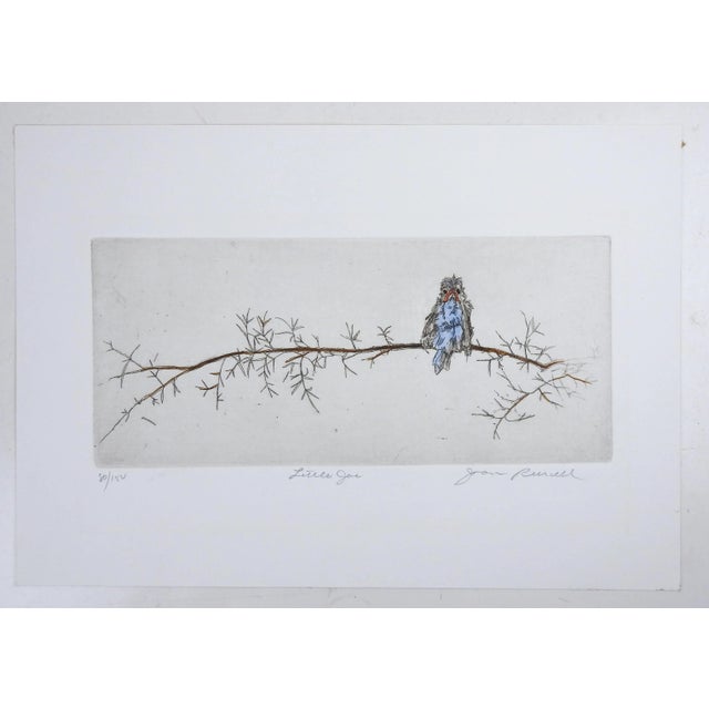 Contemporary Baby Blue Bird on Branch Etching For Sale - Image 4 of 4