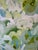 2020s "Salt Pond" Original Painting by Hayley Morée For Sale - Image 5 of 5