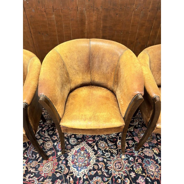 English Sheep Leather Chairs, Set of 6 For Sale - Image 10 of 13