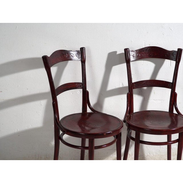 Antique Bentwood Chairs, Central Europe, 1900s, Set of 4 For Sale - Image 5 of 14