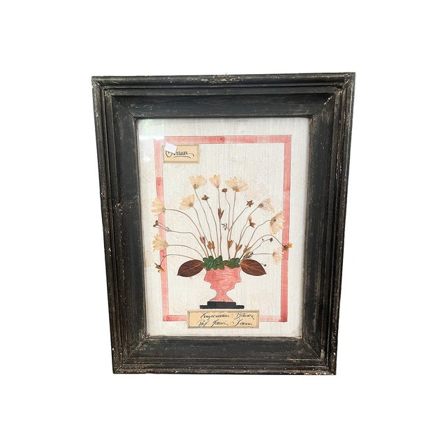 French Late 19th Century Set of 4 Fleurs Compostition Botanique Artwork For Sale - Image 3 of 6