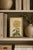 Paper Yellow Mum by Hasegawa, Vintage Japanese Botanical Art Print, 8" X 12" For Sale - Image 7 of 8