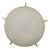 Model No. 70 Ceiling or Wall Light from Erco Leuchten, 1955 For Sale