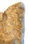 Large Natural Citrine Quartz Crystal Specimen on Wooden Base-Brazil 20th Century For Sale In Los Angeles - Image 6 of 10